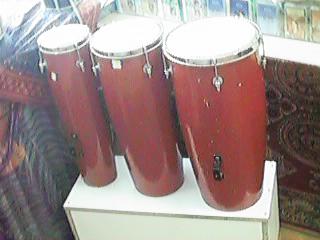 bonga